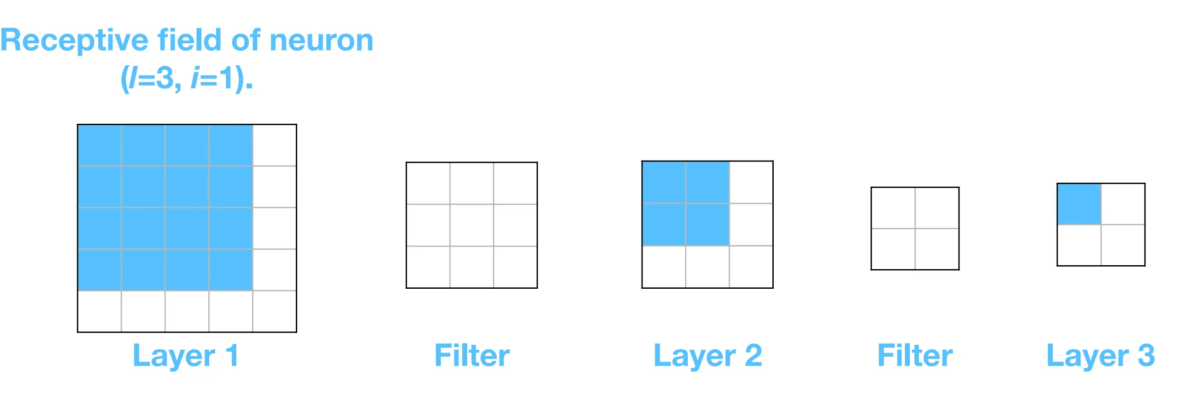 Receptive field