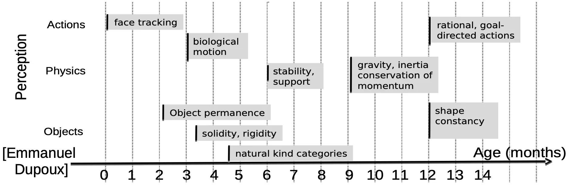 Dupoux baby development graph
