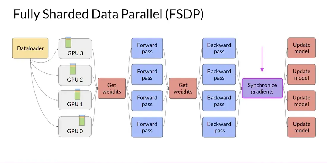 FSDP