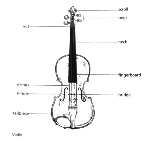 Violin construction