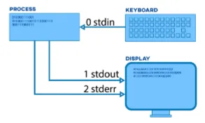 stdin, stdout, stderr
